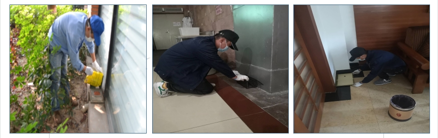 1651932856767240.jpg 圖3.jpg