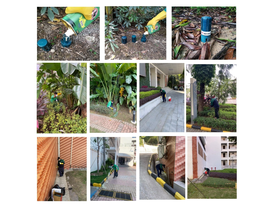 1652089258440794.jpg 蛇類.jpg