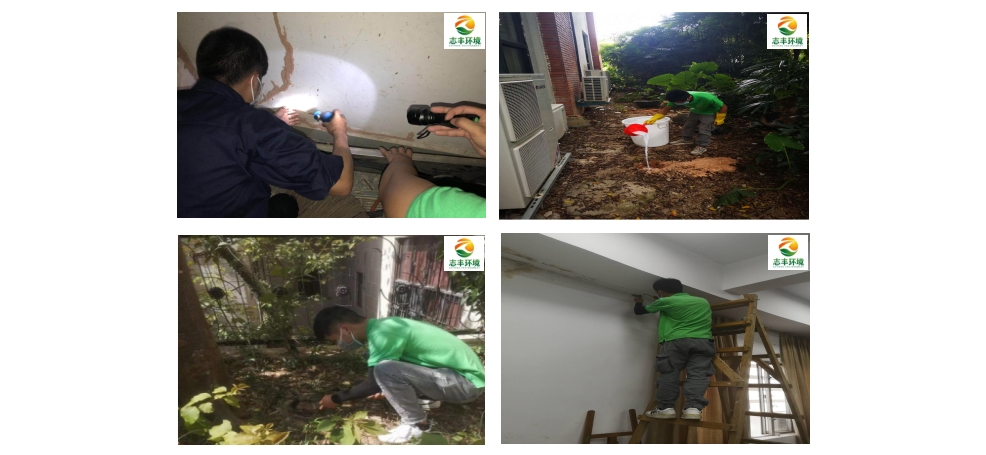 1653754352232021.jpg 滅治1.jpg