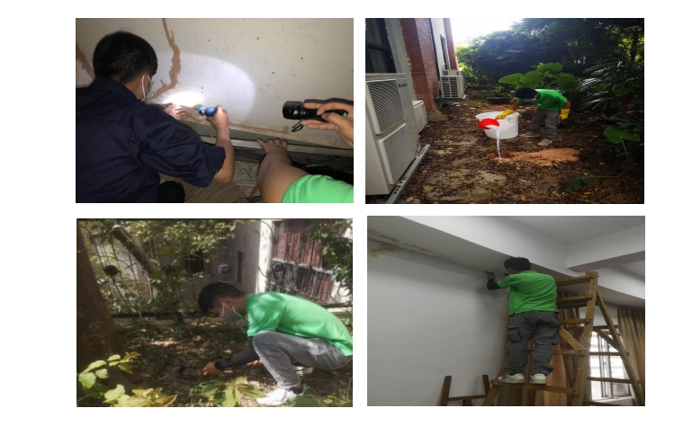 深圳做建筑的會(huì)做白蟻防治嗎？白蟻防治的方式有哪些？