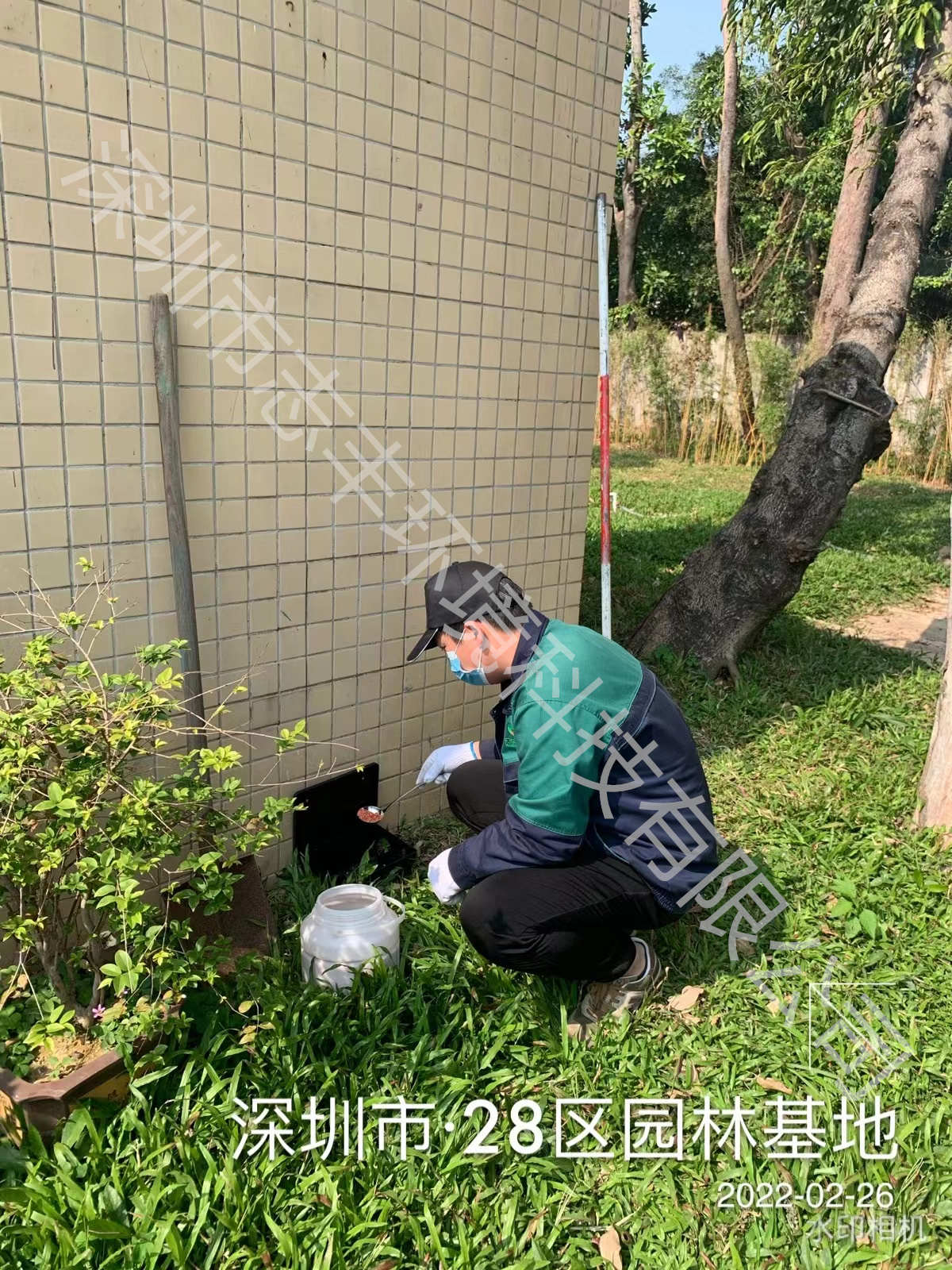 1657361419550114.jpg 1657361419550114.jpg