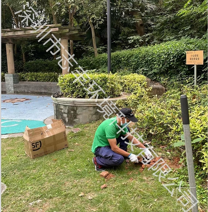 倉儲(chǔ)庫房的白蟻預(yù)防 倉儲(chǔ)庫房的白蟻預(yù)防