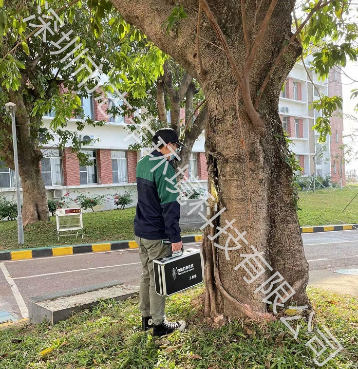 深圳白蟻防治 深圳白蟻防治