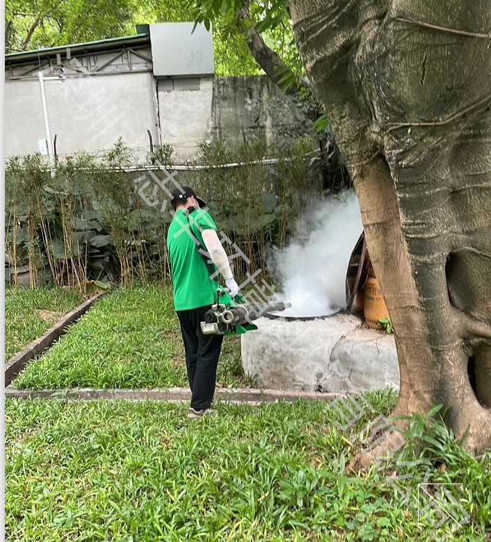 1665739373806253.jpg 蟑螂9.jpg