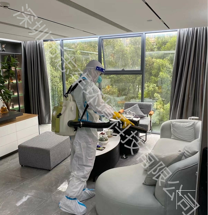 1665739579883061.jpg 2.jpg