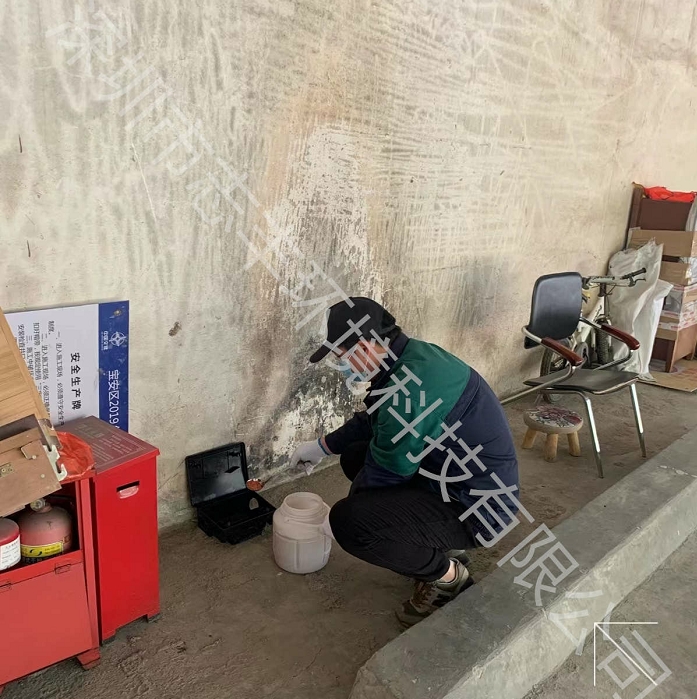 福田殺鼠公司對(duì)辦公室有老鼠是怎么消滅它的呢？二