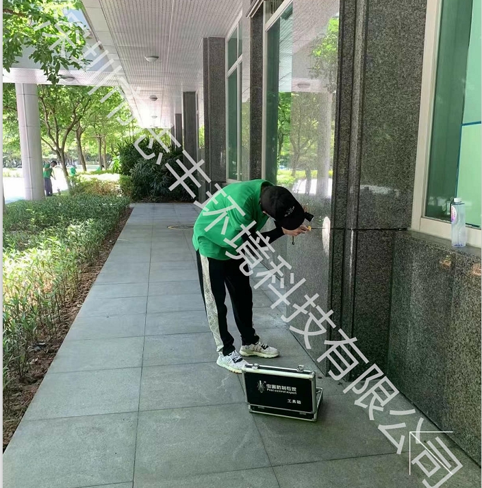 深圳居家辦公該如何預(yù)防白蟻的危害呢一 深圳居家辦公該如何預(yù)防白蟻的危害呢一