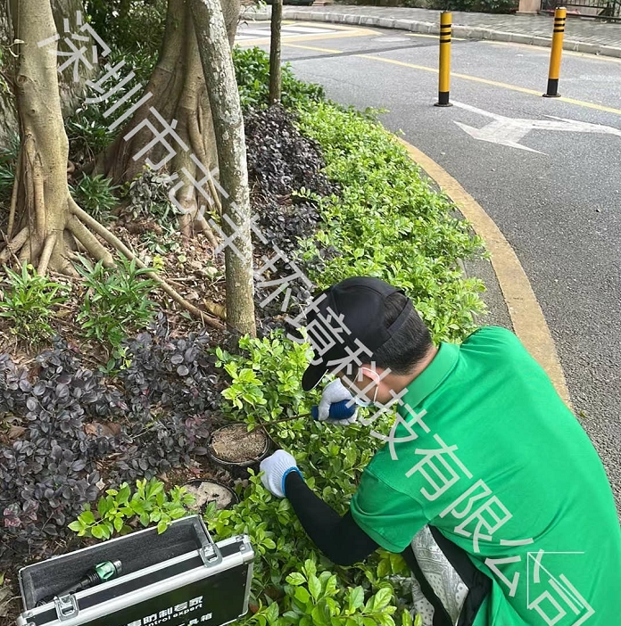 新房和辦公室有哪些除甲醛的辦法呢二 新房和辦公室有哪些除甲醛的辦法呢二