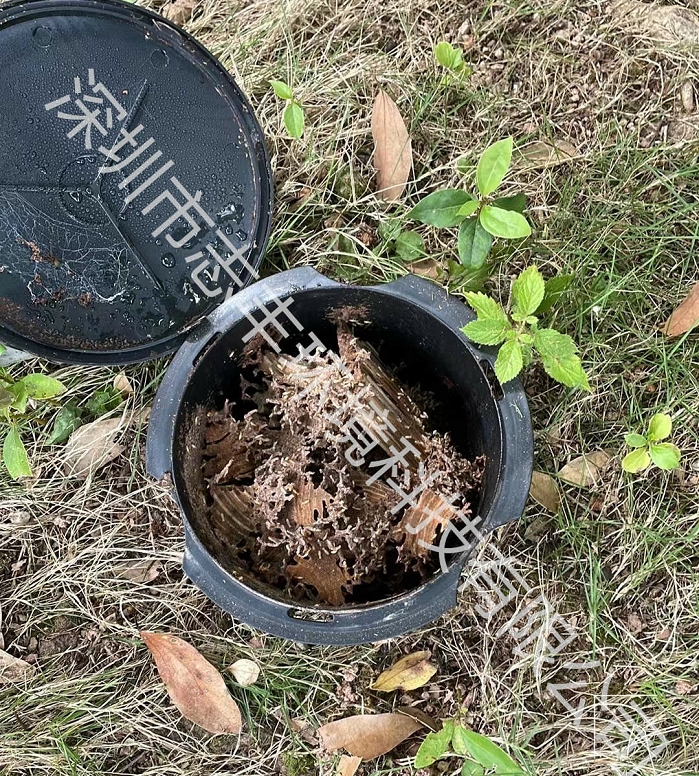 找專業(yè)的白蟻防治公司一般會有什么樣的優(yōu)勢？一