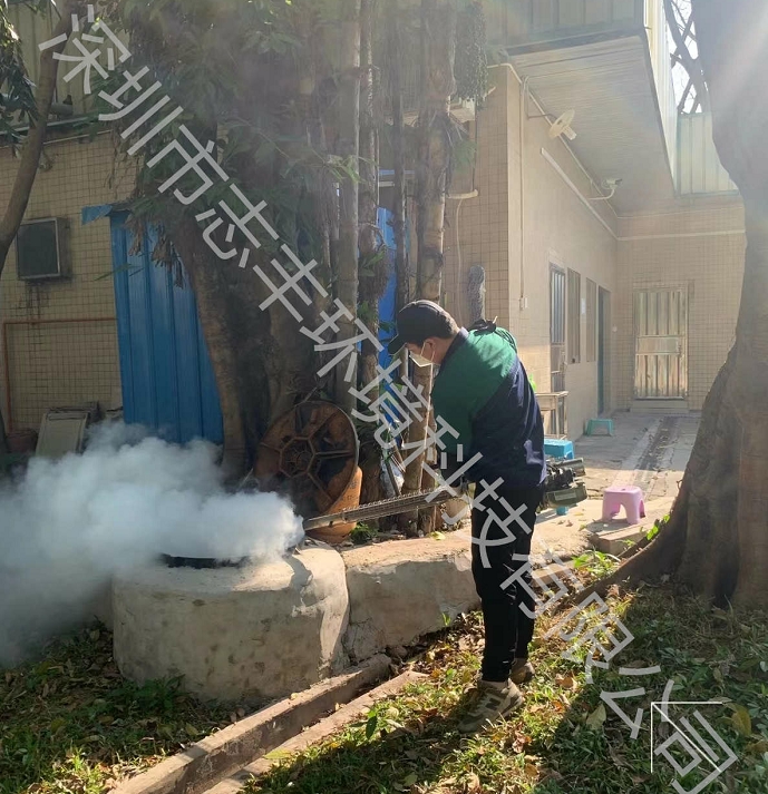 深圳除四害指的是什么？預(yù)防四害的必要性有哪些？圖二