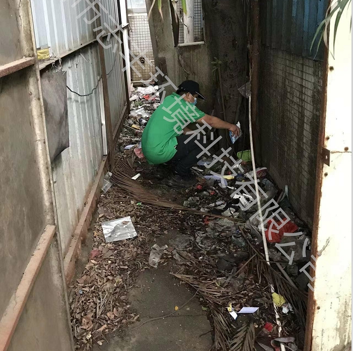 為什么深圳物業(yè)要把四害防治看的如此重要？圖2