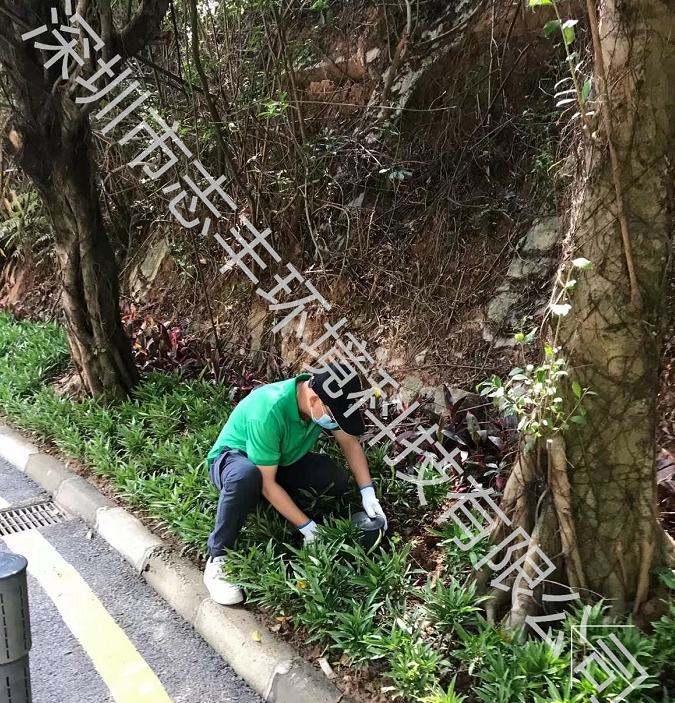 深圳南山寶安辦公樓物業(yè)有必要做白蟻防治嗎圖2 深圳南山寶安辦公樓物業(yè)有必要做白蟻防治嗎圖2