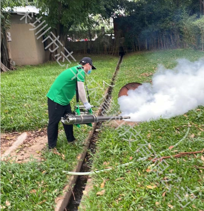深圳餐飲行業(yè)怎么樣做好蟑螂防治1 深圳餐飲行業(yè)怎么樣做好蟑螂防治1