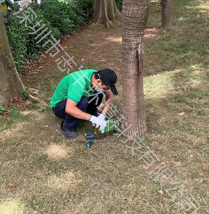 深圳夏天蚊子多要怎么防范比較好呢二 深圳夏天蚊子多要怎么防范比較好呢二