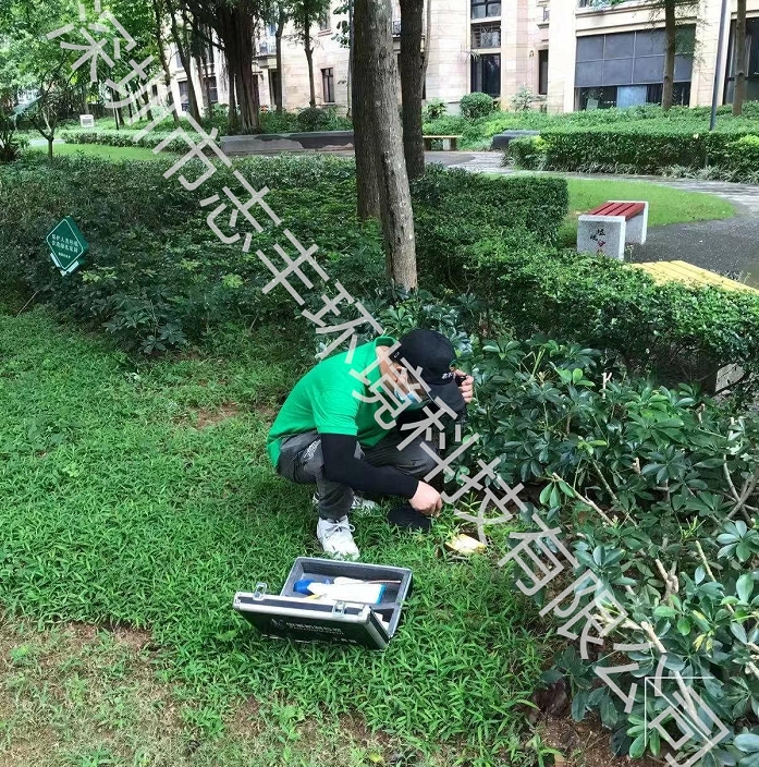 深圳工廠白蟻防治二 深圳工廠白蟻防治二