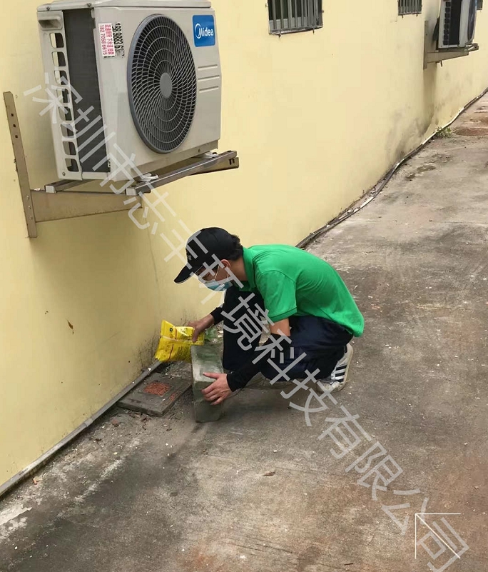 深圳工廠鼠疫有哪些危害，鼠類(lèi)防治方法有哪些一