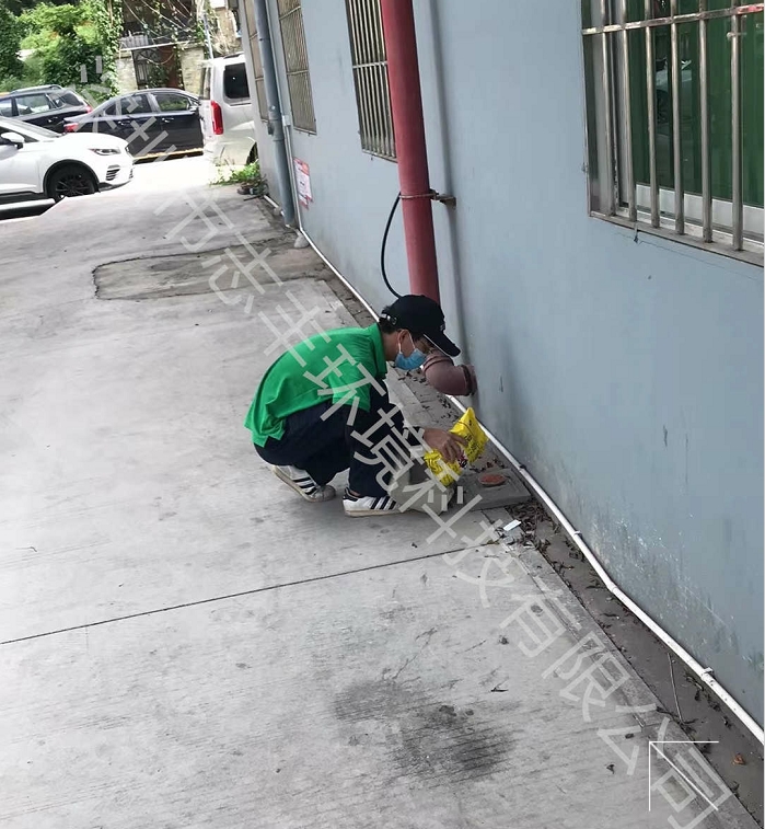 深圳工廠鼠疫有哪些危害，鼠類(lèi)防治方法有哪些二