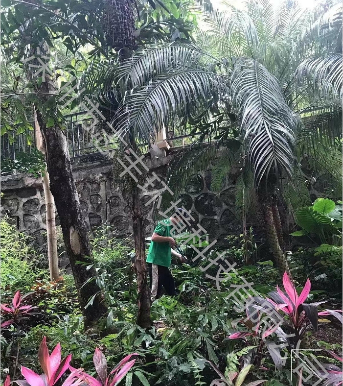 深圳園區(qū)物業(yè)如何預(yù)防毒蛇進(jìn)入家中，遇到毒蛇時(shí)如何應(yīng)對(duì)？一