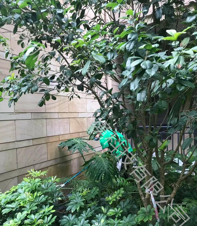 深圳園區(qū)物業(yè)如何預(yù)防毒蛇進(jìn)入家中，遇到毒蛇時(shí)如何應(yīng)對(duì)三