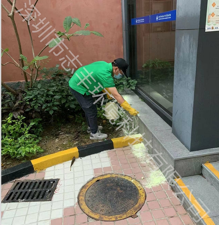 深圳大型辦公室有哪些有效的蛇類防治方法2 深圳大型辦公室有哪些有效的蛇類防治方法2