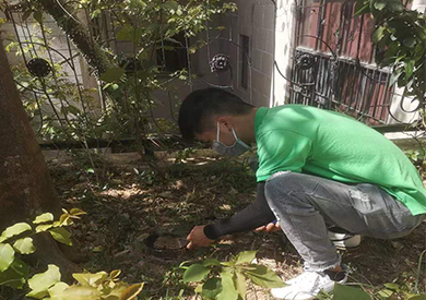 深圳的餐飲行業(yè)老板殺蟲滅鼠的方式有哪些？