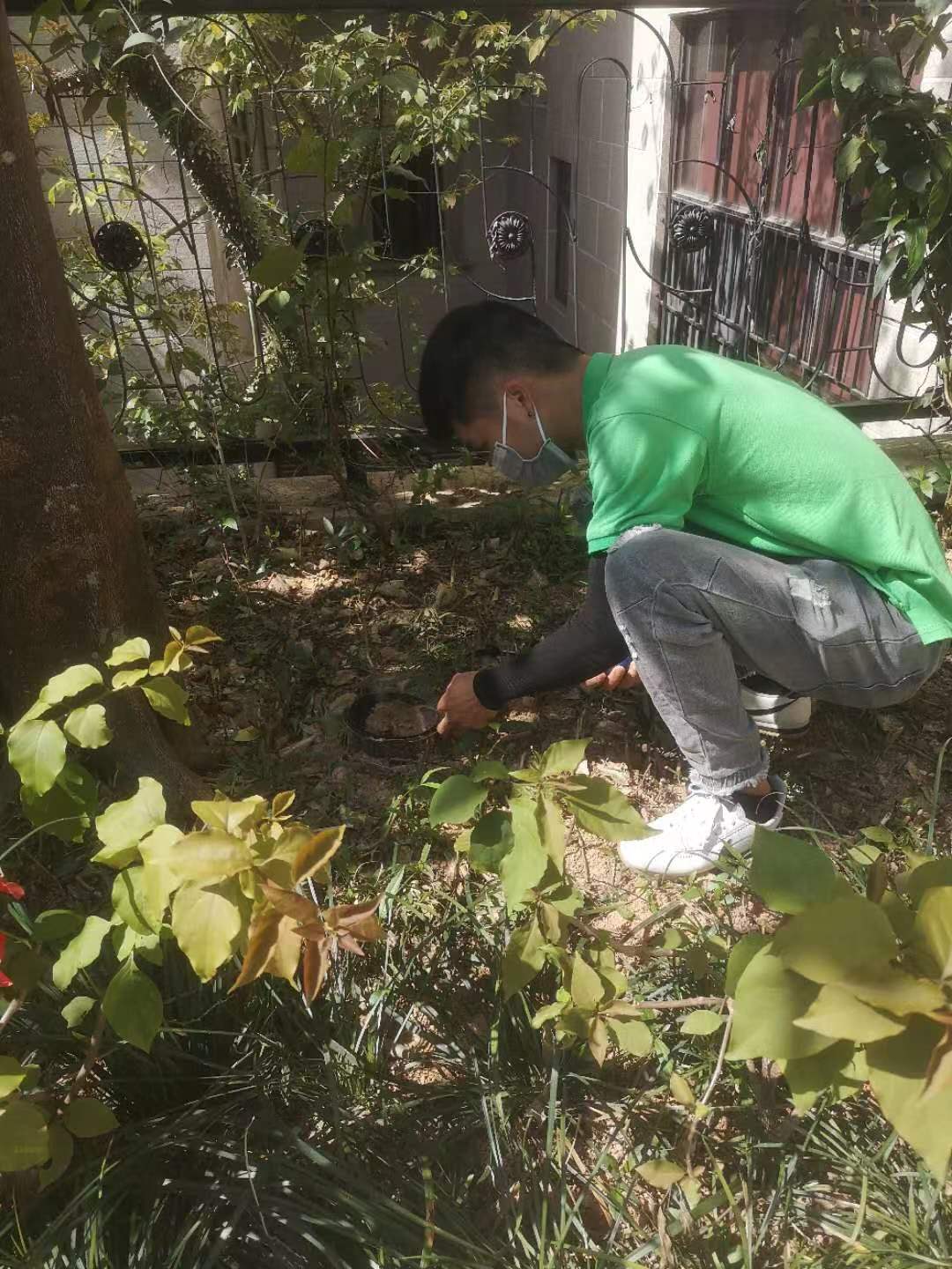 深圳小區(qū)做好滅鼠工作的基本步驟有哪些