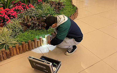 為什么深圳白蟻防治會被如此重視？