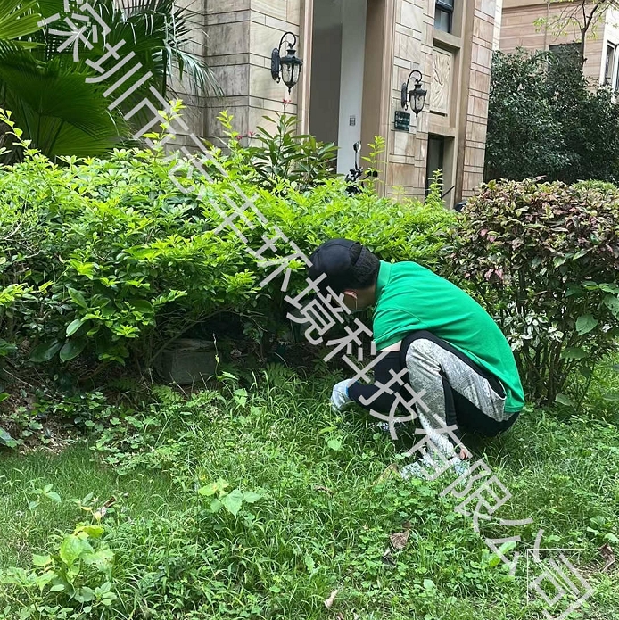 專業(yè)白蟻防治消殺服務辦法有哪些呢