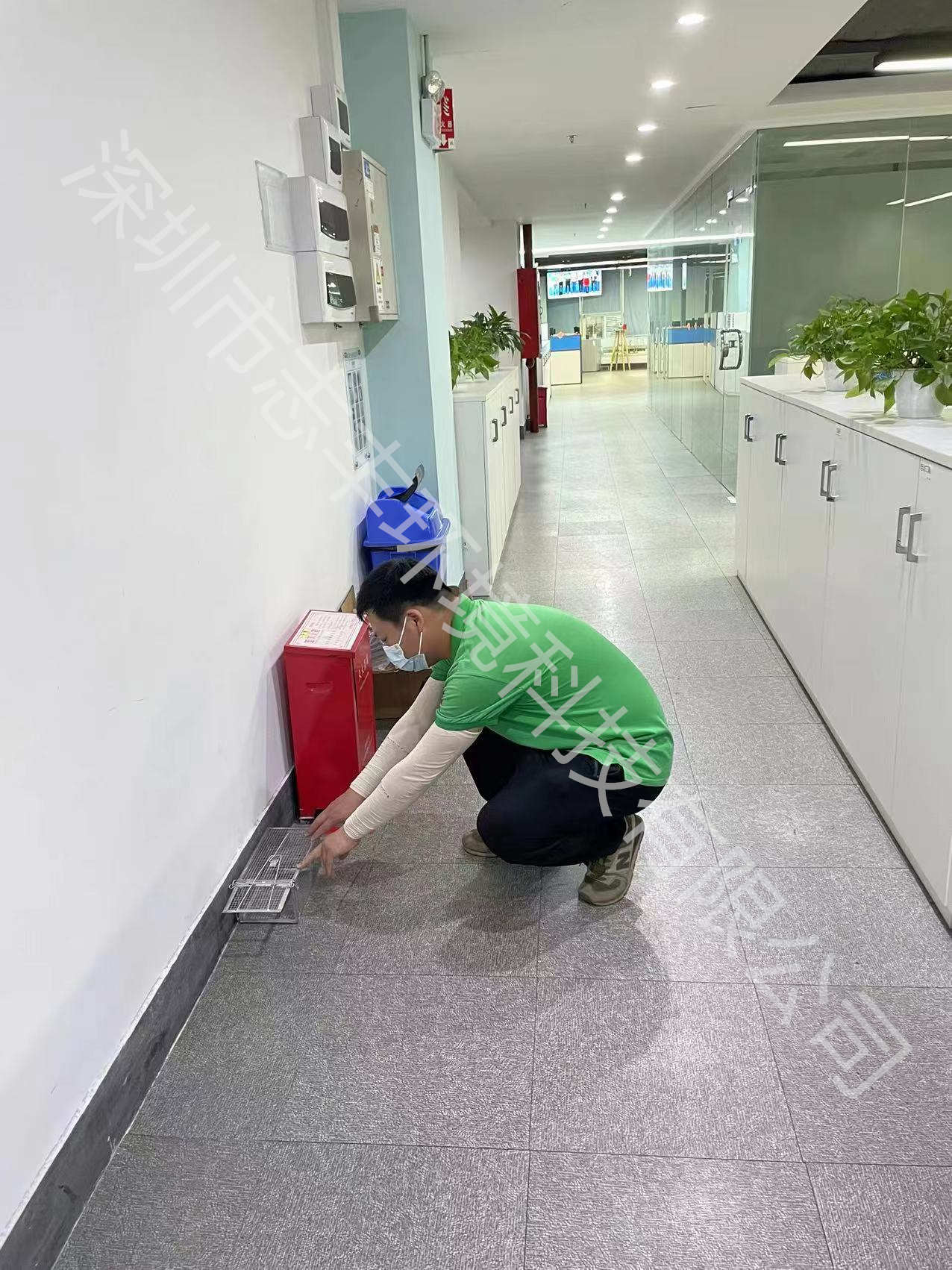 深圳酒店怎么找公司來做滅鼠、滅蟑螂的工作