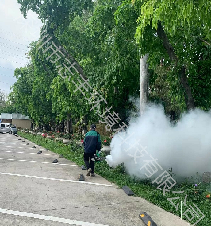 寶安除蟲公司如何高效消滅辦公室蟑螂？