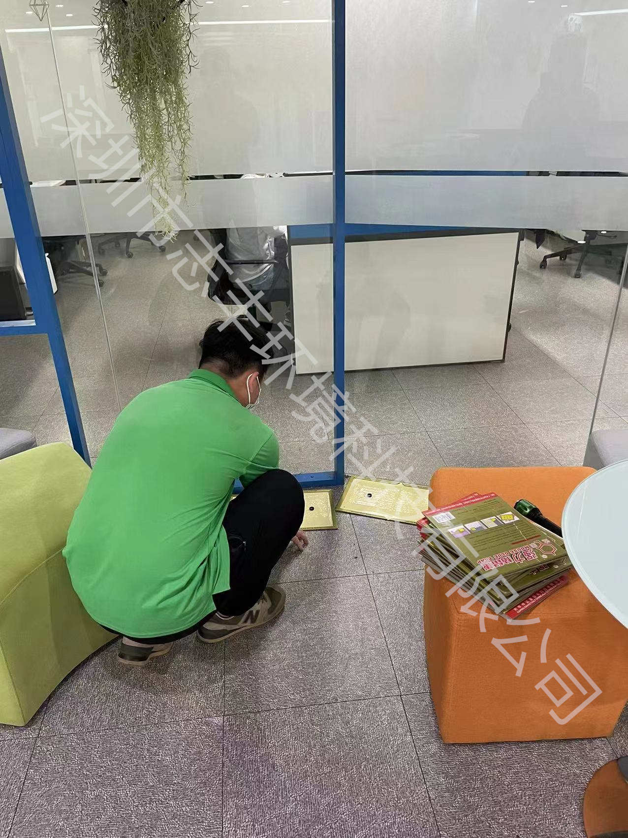 光明滅老鼠公司分享：老鼠的種類習(xí)性和危害