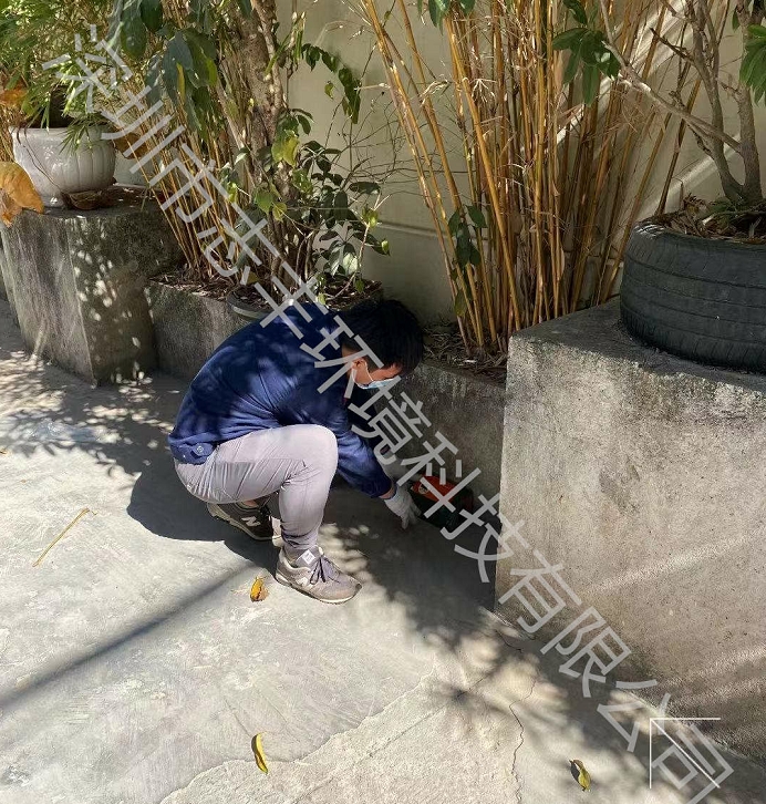 為什么深圳物業(yè)要把四害防治看的如此重要？