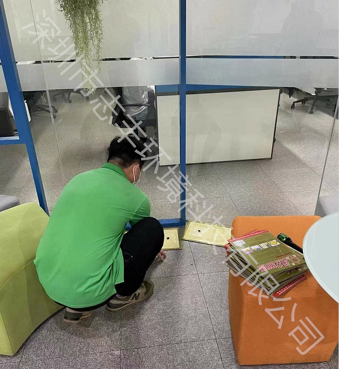 深圳南山寶安辦公樓物業(yè)有必要做白蟻防治嗎