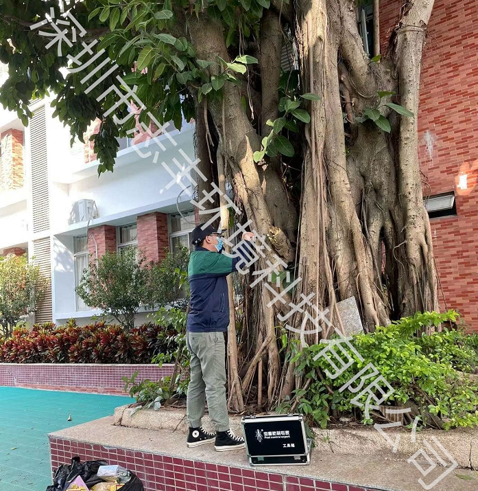 深圳別墅如何做好白蟻防治工作