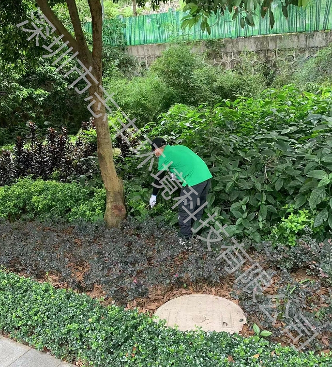 深圳大型辦公室有哪些有效的蛇類防治方法