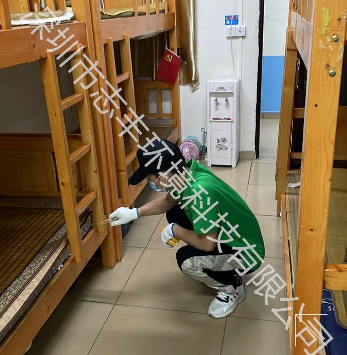 深圳南山螞蟻防治有什么注意事項(xiàng)，專業(yè)螞蟻防治公司如何收費(fèi)？