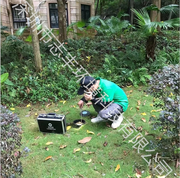 深圳寶安土建白蟻防治有哪些好的治理辦法？